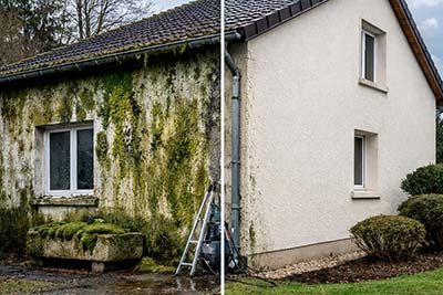 Façade exposée nord : solutions contre l’humidité et les mousses